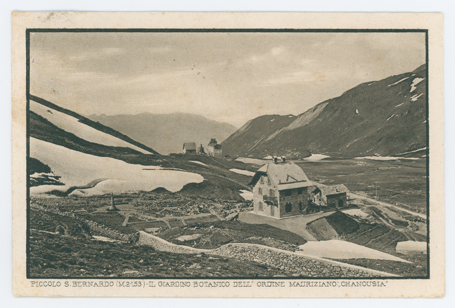 Piccolo S. Bernardo (m. 2153) - Giardino botanico dell'Ordine Mauriziano: “Chanousia”